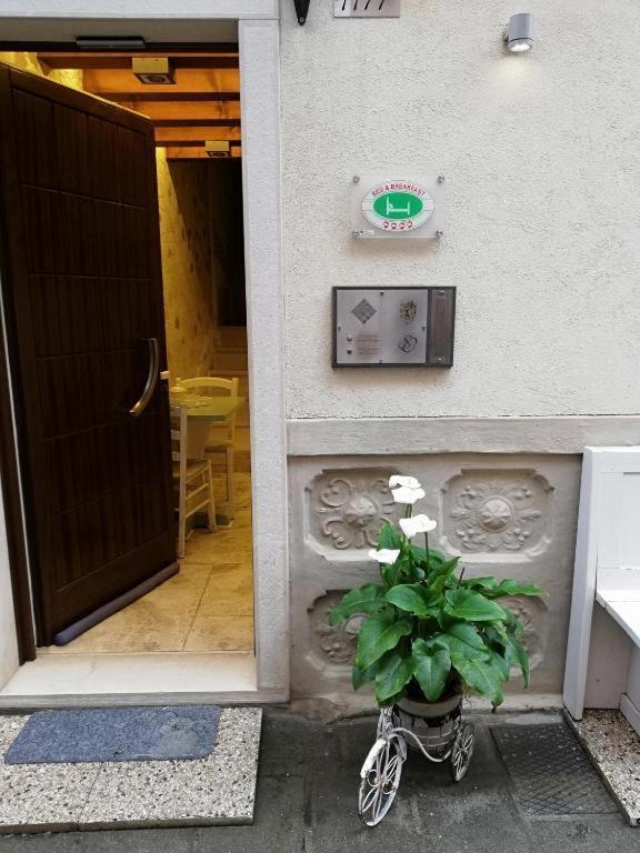B & B San Domenico Chioggia Zewnętrze zdjęcie